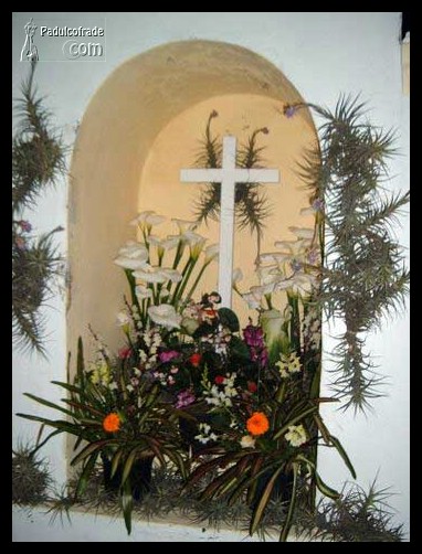 cruces_sc_palma-(02).jpg