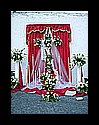 cruces_sc_palma-(100).jpg