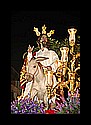 DSC_2395r.jpg