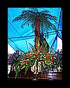 100_9608.jpg