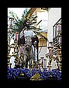 IMG_0449.jpg