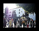 ms_sc_palma-(00).jpg