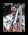 ms_sc_palma-(06).jpg