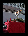 vs_pasos_inf_fmm-(02).jpg