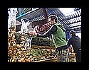 vs_prep_padul_fmm-(13).jpg