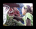 vs_prep_padul_fmm-(14).jpg